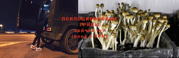 кокаин Алзамай