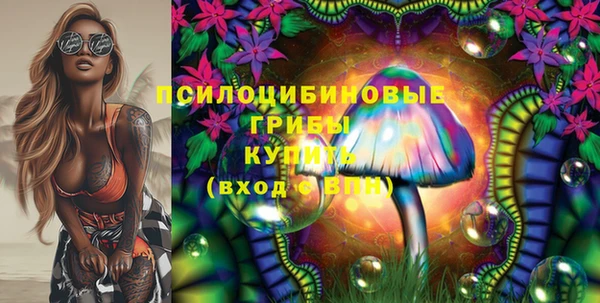 метадон Алексин