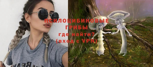 метадон Алексин