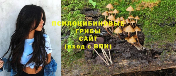 эйфоретик Алексеевка