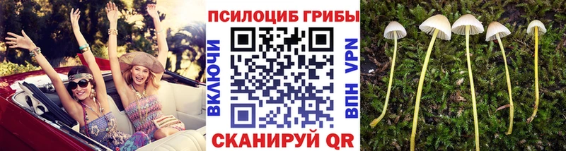 Галлюциногенные грибы ЛСД  Сортавала 